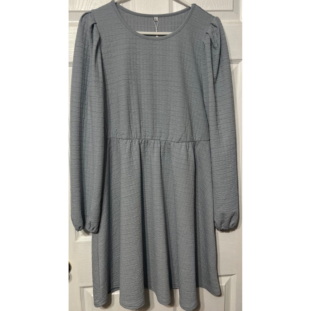 Sampeel Womens Dusty Blue Textured Long Sleeve Empire Waist Dress Size L NEW